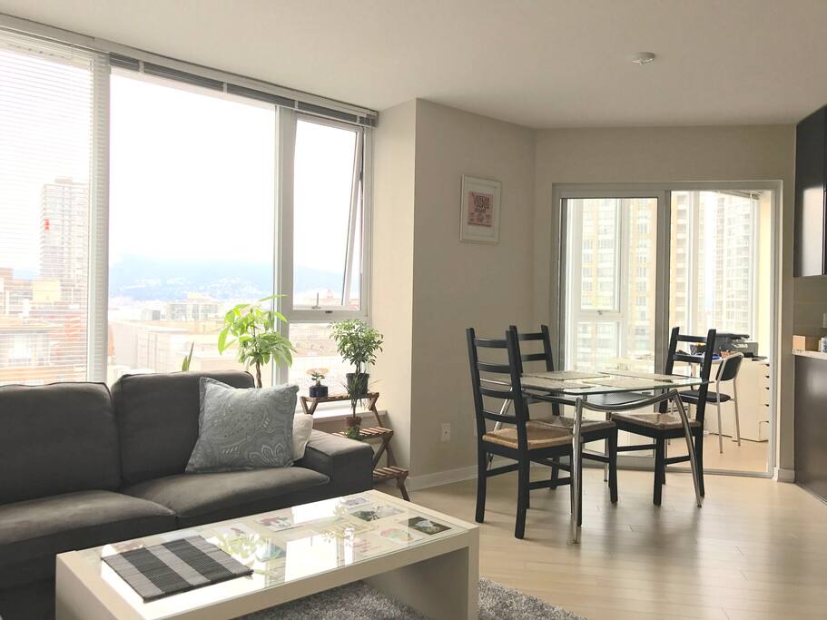 Living room viewed from the other side, with the dining area