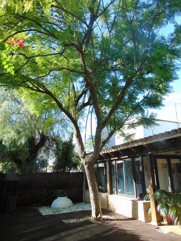 Casa rústica Villamatojos