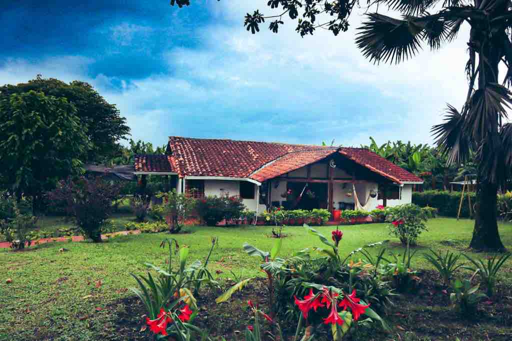 A traditional chalet with a tiled roof is surrounded by lush greenery and vibrant flowers. The spacious front yard features a variety of plants, with a gentle lawn leading to the entrance. The backdrop includes distant coffee and plantain fields, contributing to a serene atmosphere.