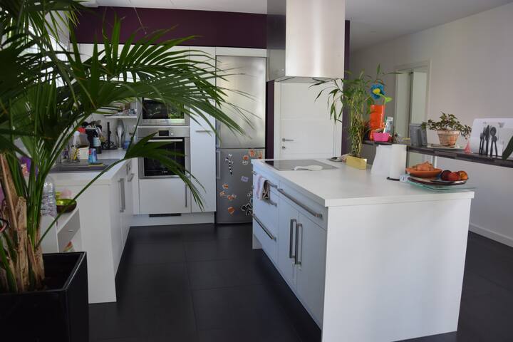 Maison Contemporaine gallery image 4