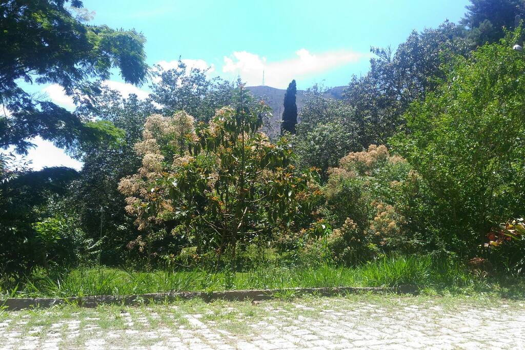 Vista da Suíte Grande.