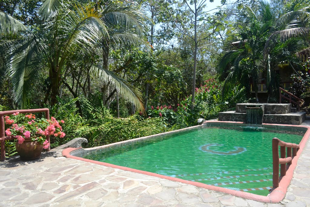 Swimming Pool and Whirlpool in lush surround