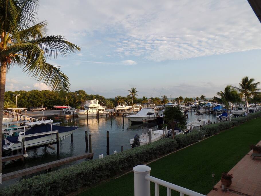 View from Balcony