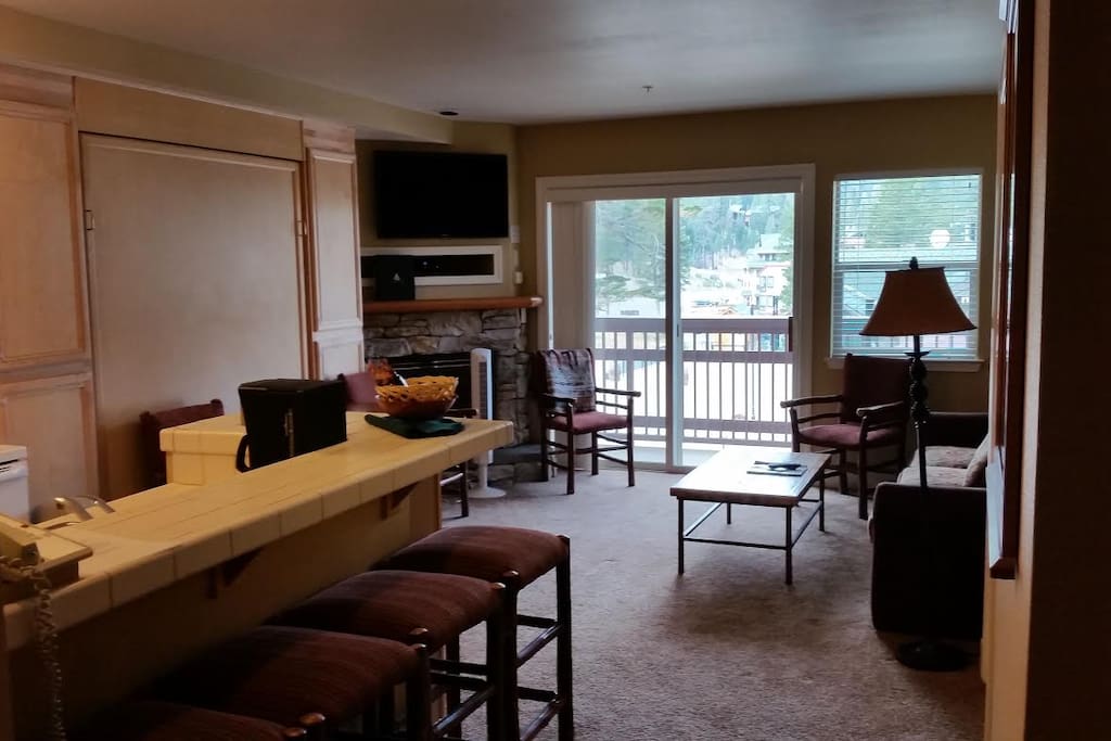 Main living area with pull-down Murphy bed.