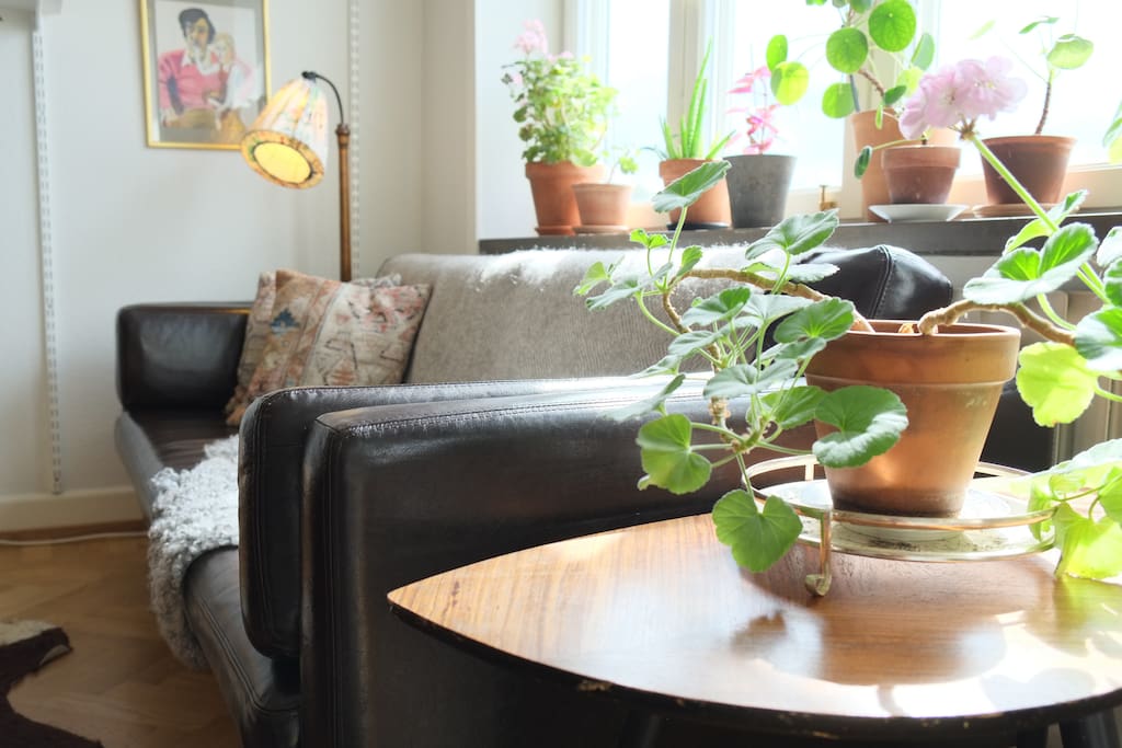 Livingroom