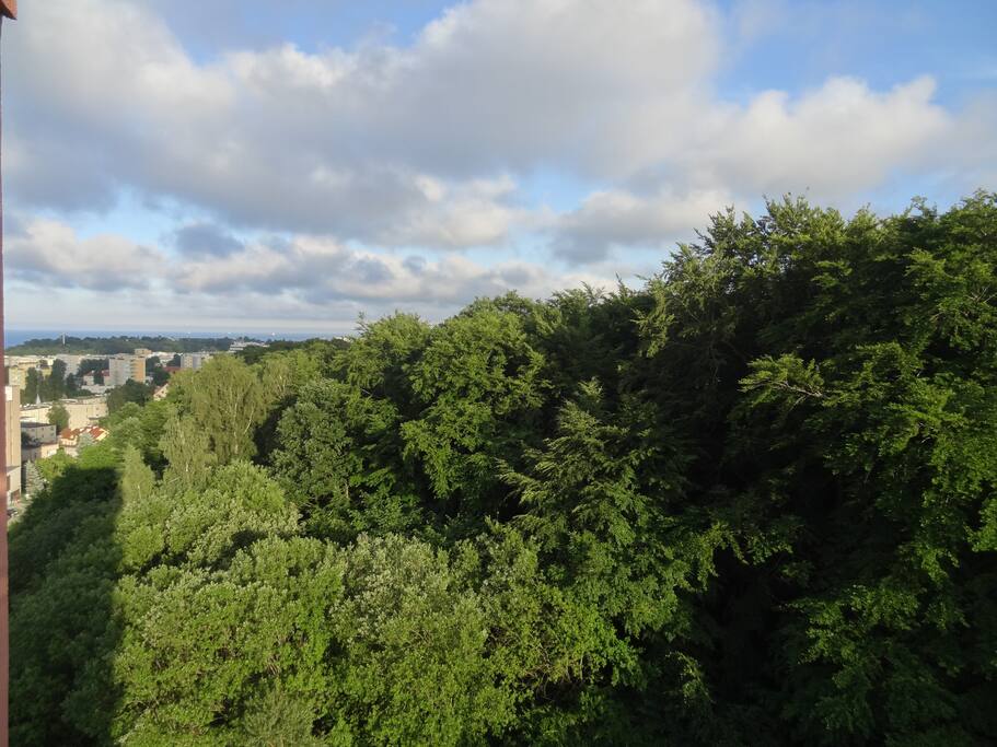 widok z sypialni