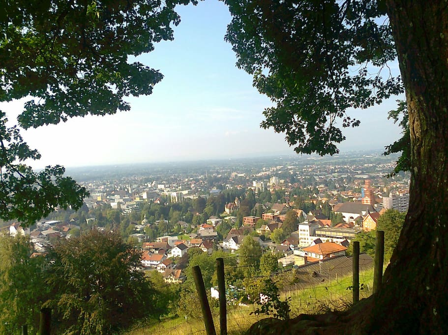 Zwei Minuten hoch und man sieht Dornbirn von oben