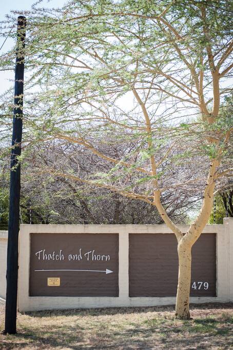 Fever Tree at the entrance