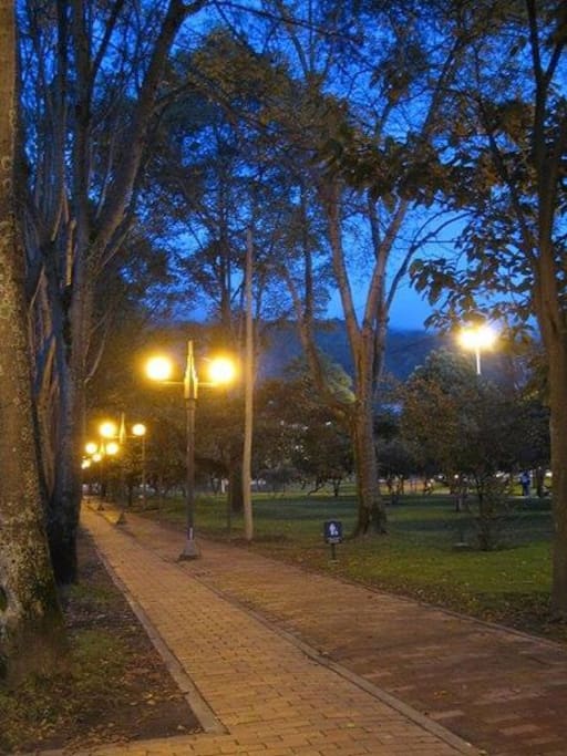 Park at night