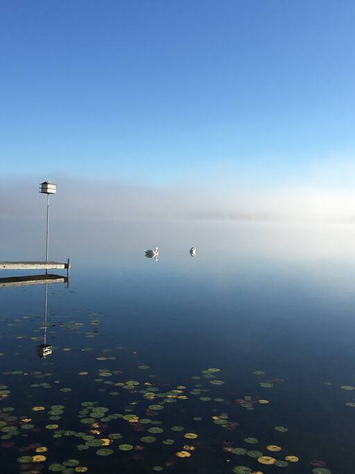 View from the dock