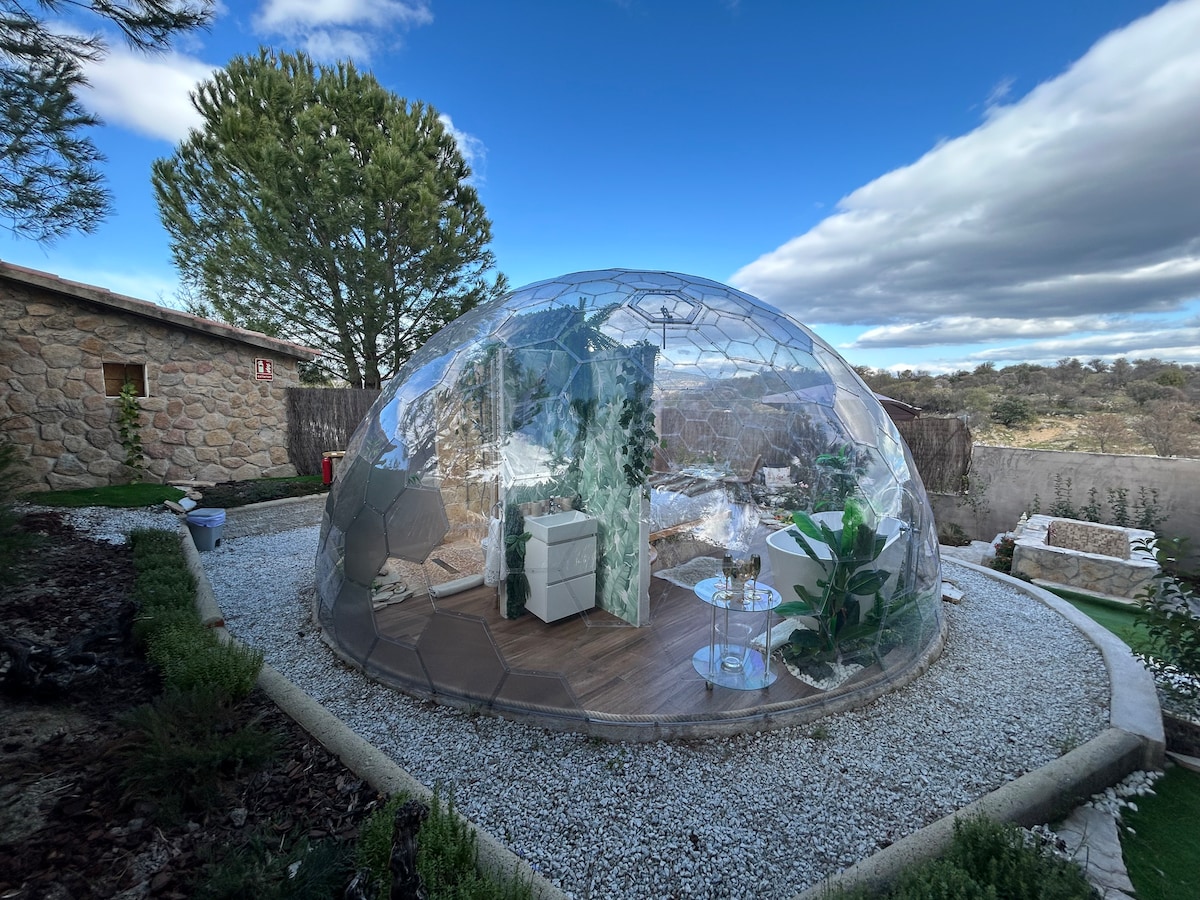 A transparent dome structure is set in a landscaped garden, surrounded by gravel pathways and greenery. Inside, furniture includes a white chest and decorative plants. Sunlight filters through the dome, creating a bright and airy atmosphere, while the scenic outdoors remains visible.