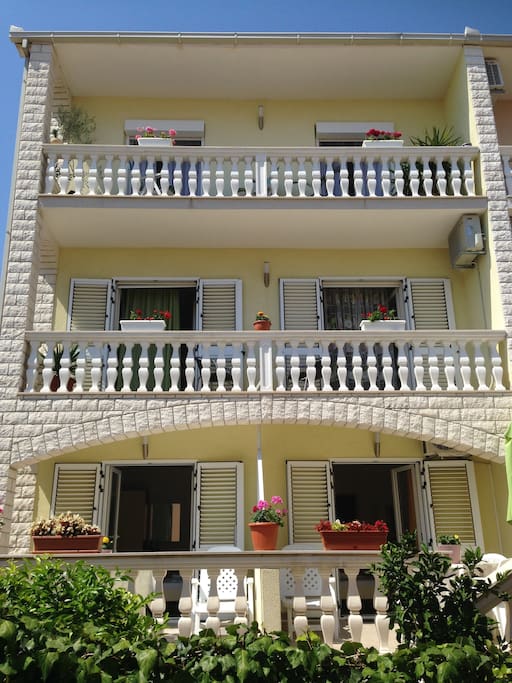 The house