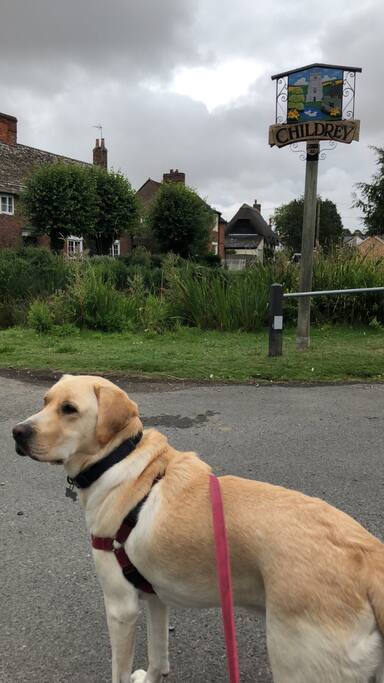 Childrey is a great base from which to go on some amazing walks and my dog and I love the Ridgeway and walking from Childrey to the Challows!