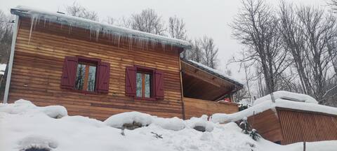 Cozy wilderness chalet