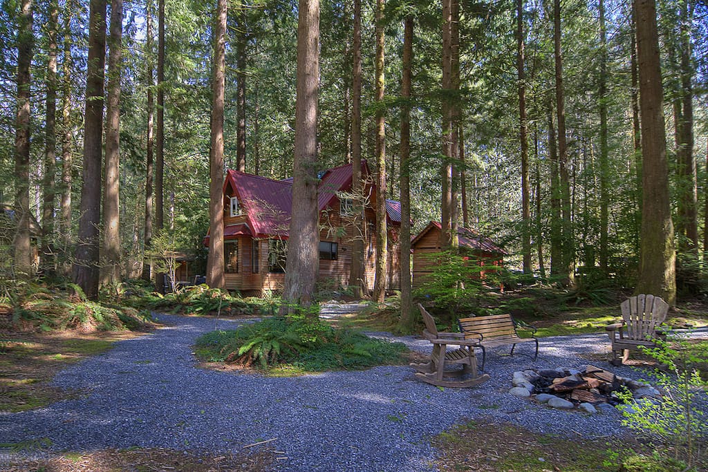 The sprawling property amidst towering trees!