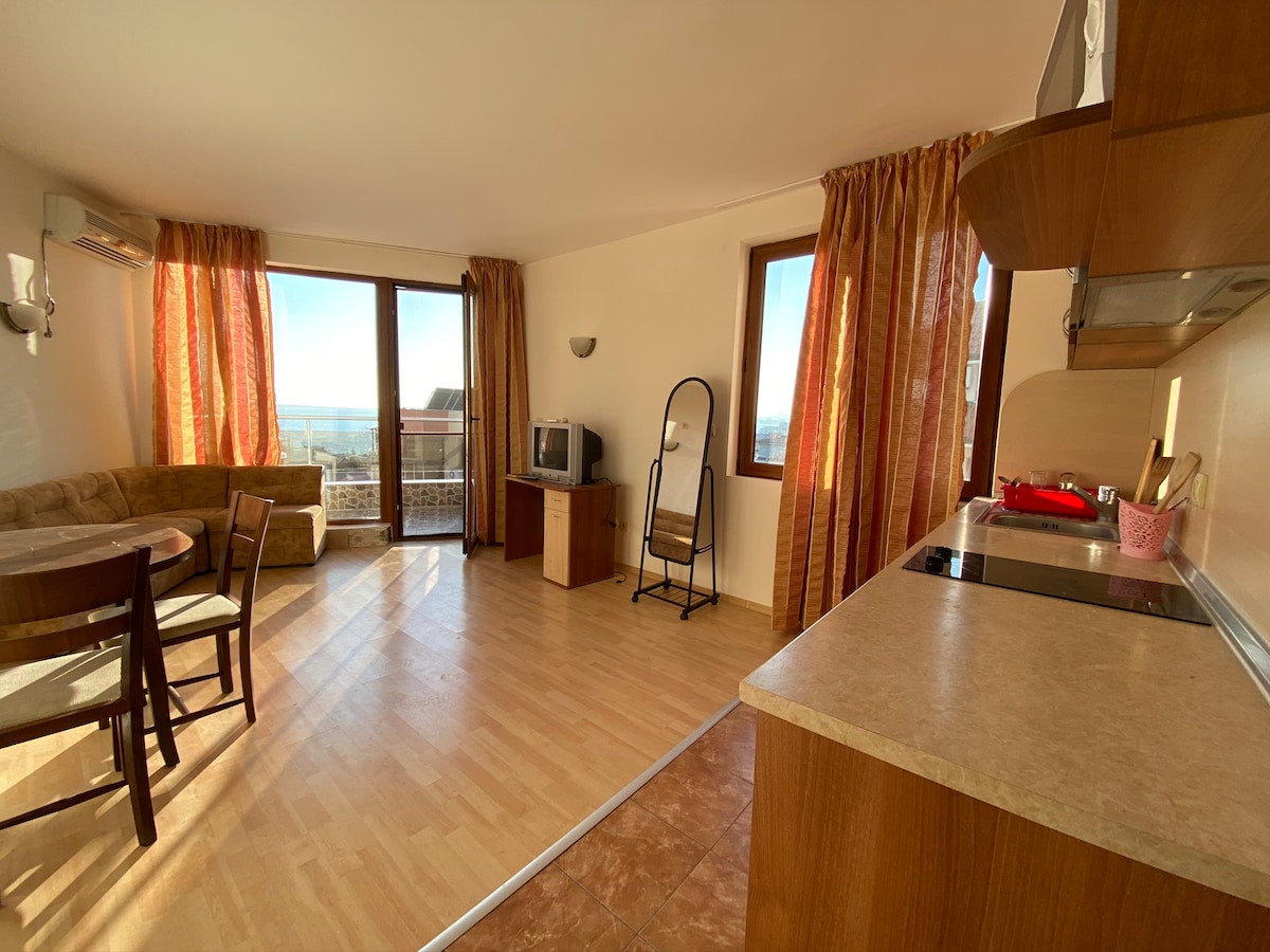 A bright living space is featured, with large windows allowing natural light to fill the area. A comfortable sofa and dining table are arranged near the kitchen, which includes essential appliances. Curtains frame the windows, and a television is positioned in the corner.