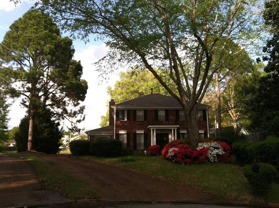Cove view of home front; follow the right-hand driveway (to left of home) up to the first garage door