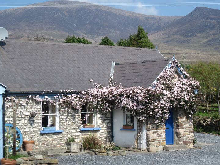 Cosy Stone Cottage,Dingle Peninsula Cottages for Rent in Dingle