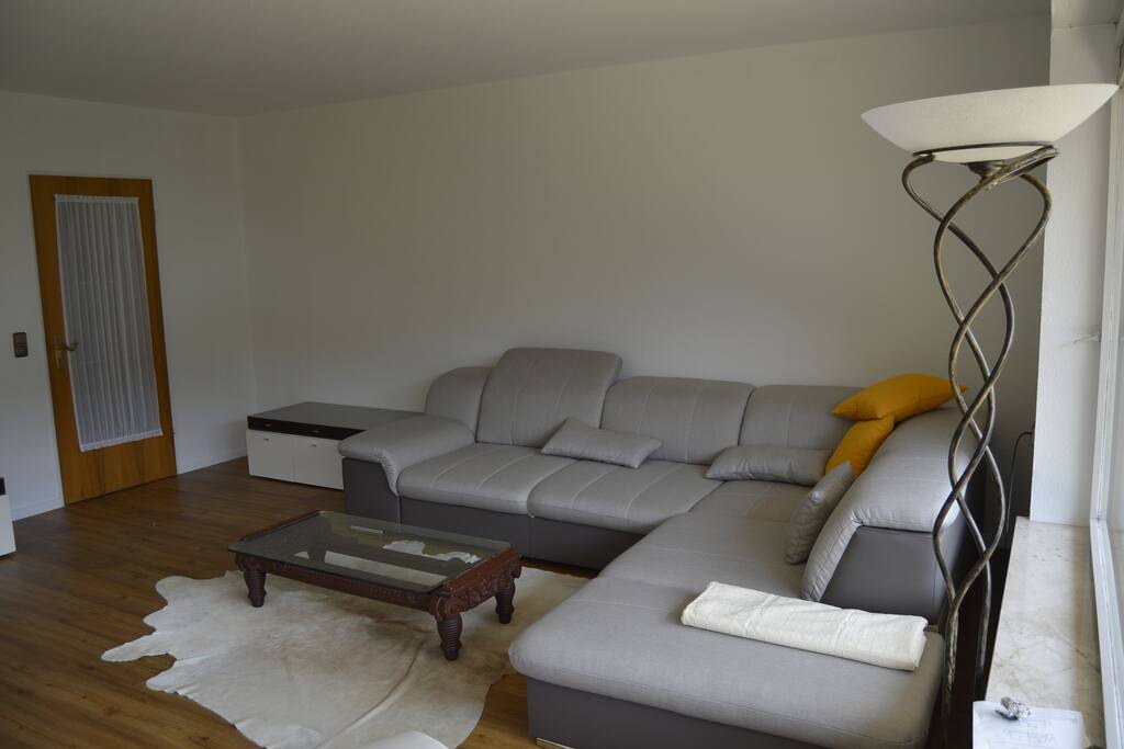 45sq/m living room with a fireplace and a sleeping couch