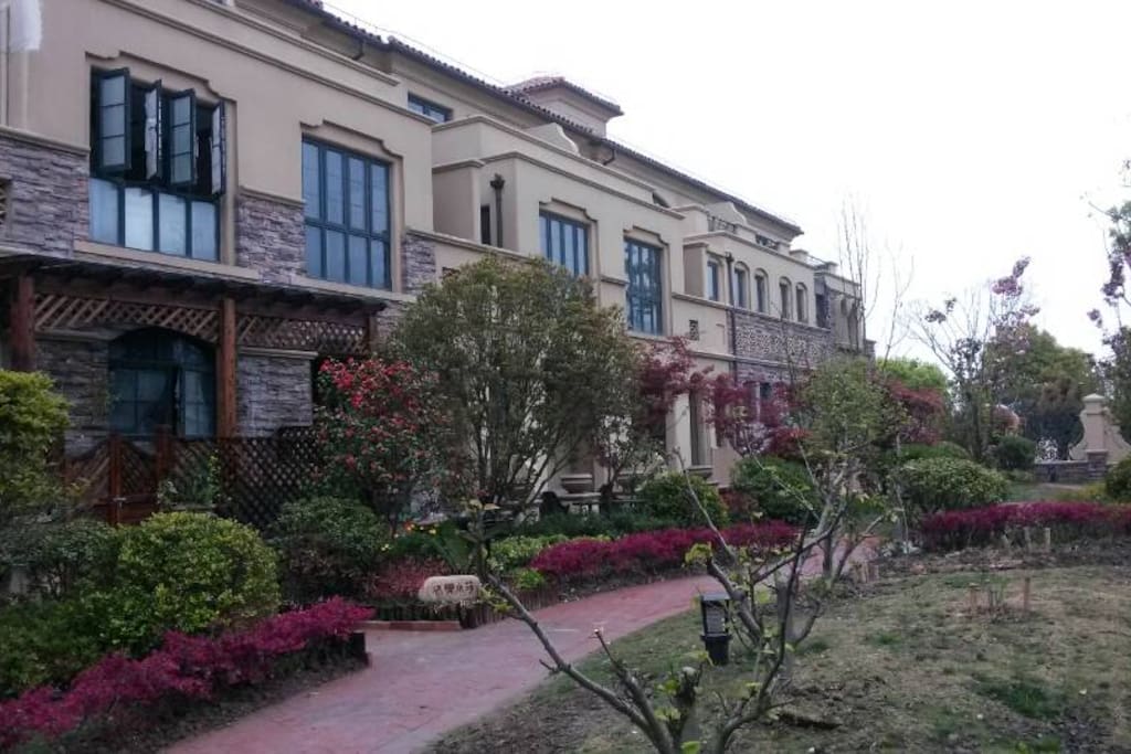 房源外观,门口的草地上有房东家种的蜜梨树