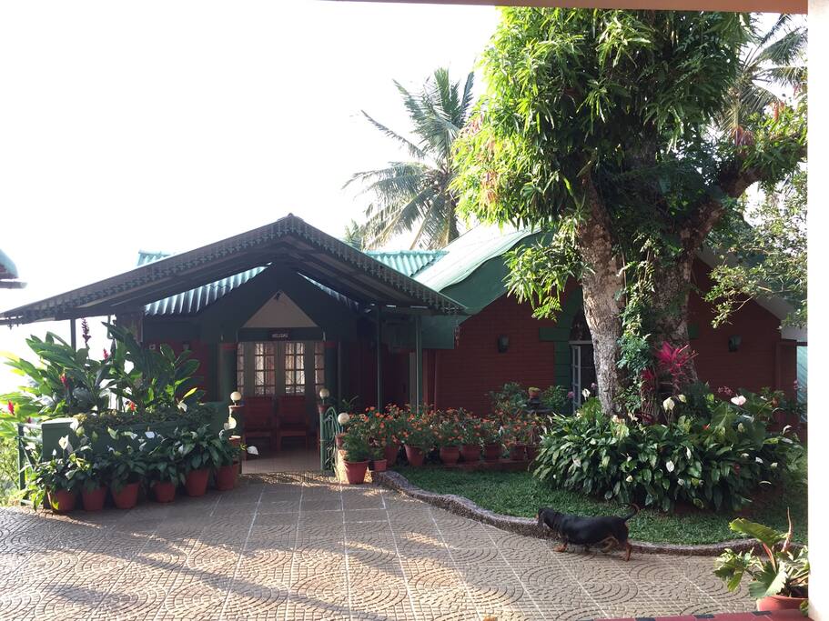 Front view of the cottage