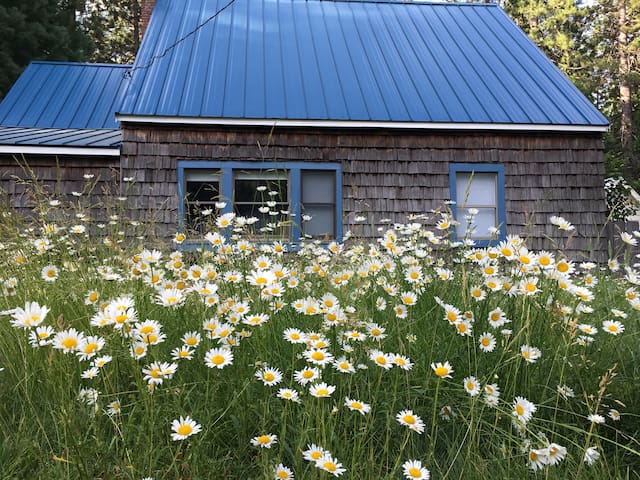 Airbnb Butte Meadows Vacation Rentals Places To Stay