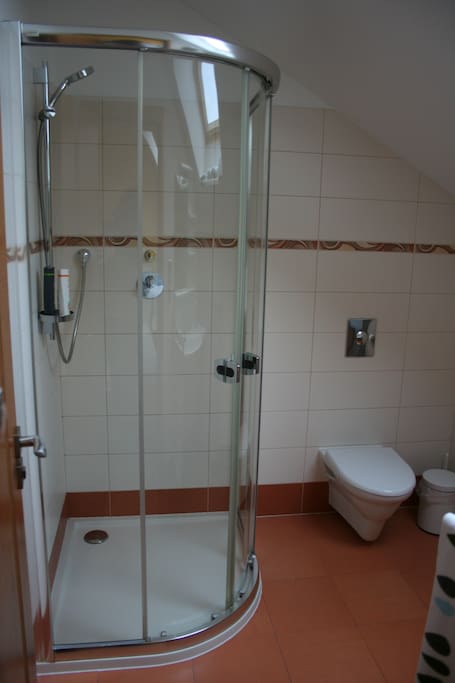 Shower and toilet
