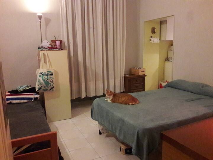 Meow Meow In Da House Apartments For Rent In Torino Piemonte Italy