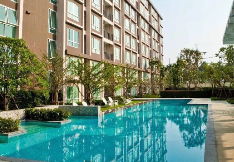 Main swimming pool
