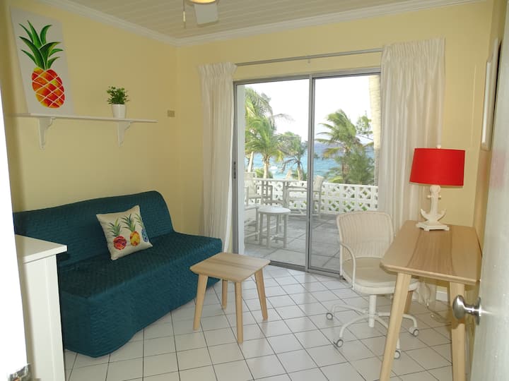 3rd bedroom with small sleeper sofa and easy access to patio.  Great for work space