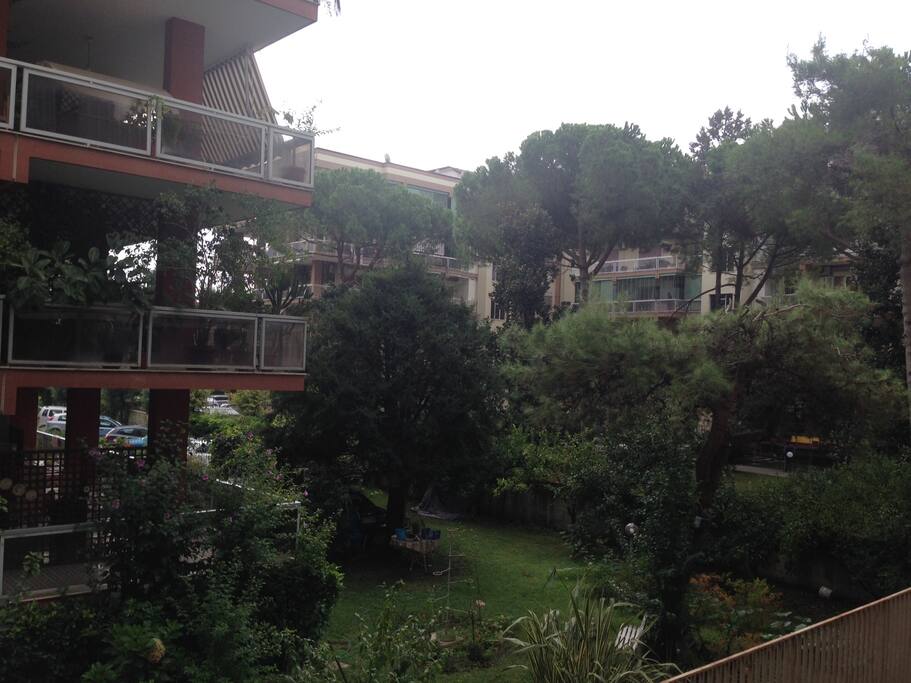 view
