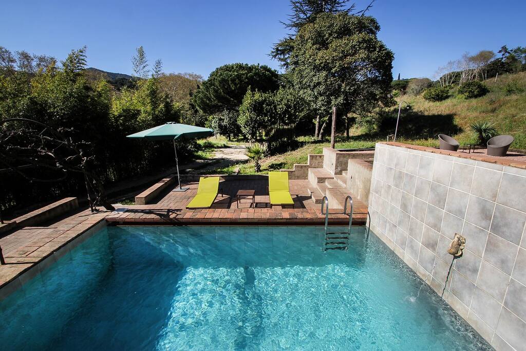 Pool & Deck