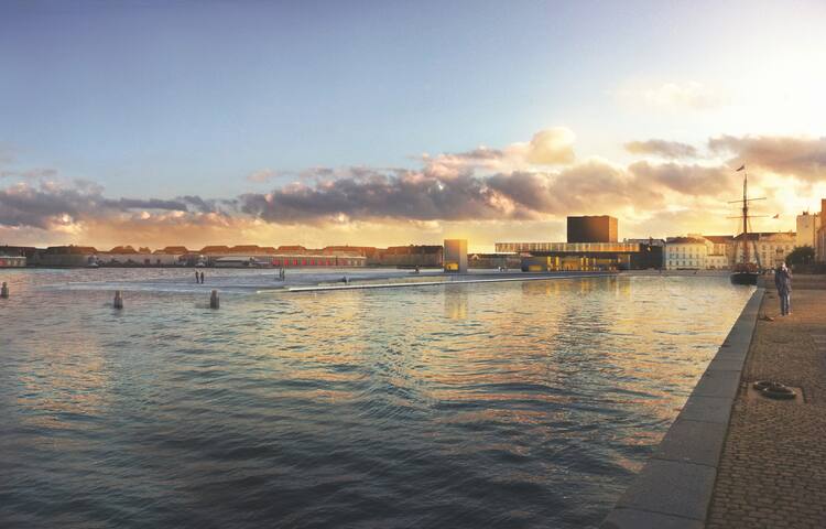 Townhouse with patio in the historical Copenhagen gallery image 3
