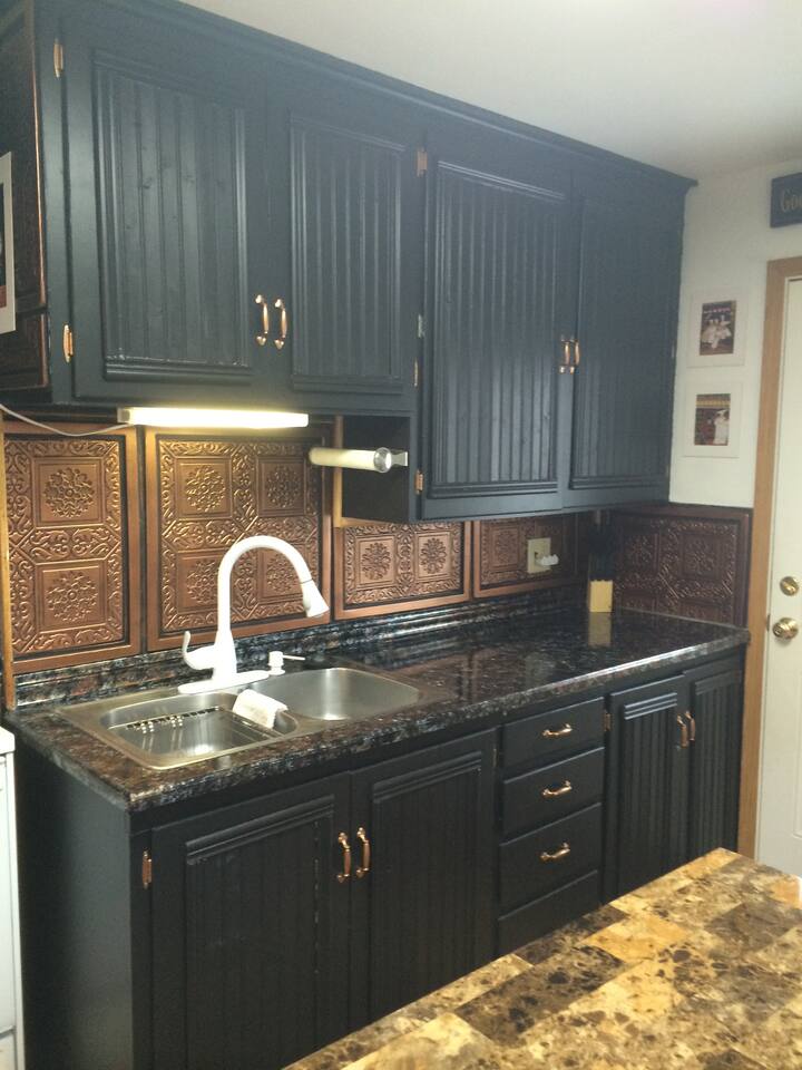 Comfy apt. Walk to Mayo, trails, shopping & more Apartments for Rent in Rochester, Minnesota