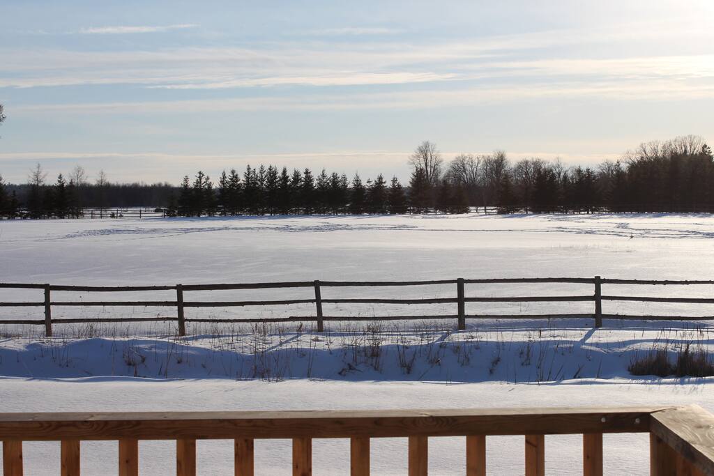 View of the back field from the back deck.