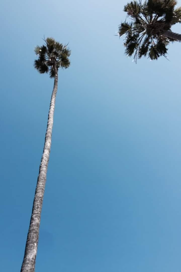 15 Top Airbnb Vacation Rentals In Avalon, Santa Catalina Island