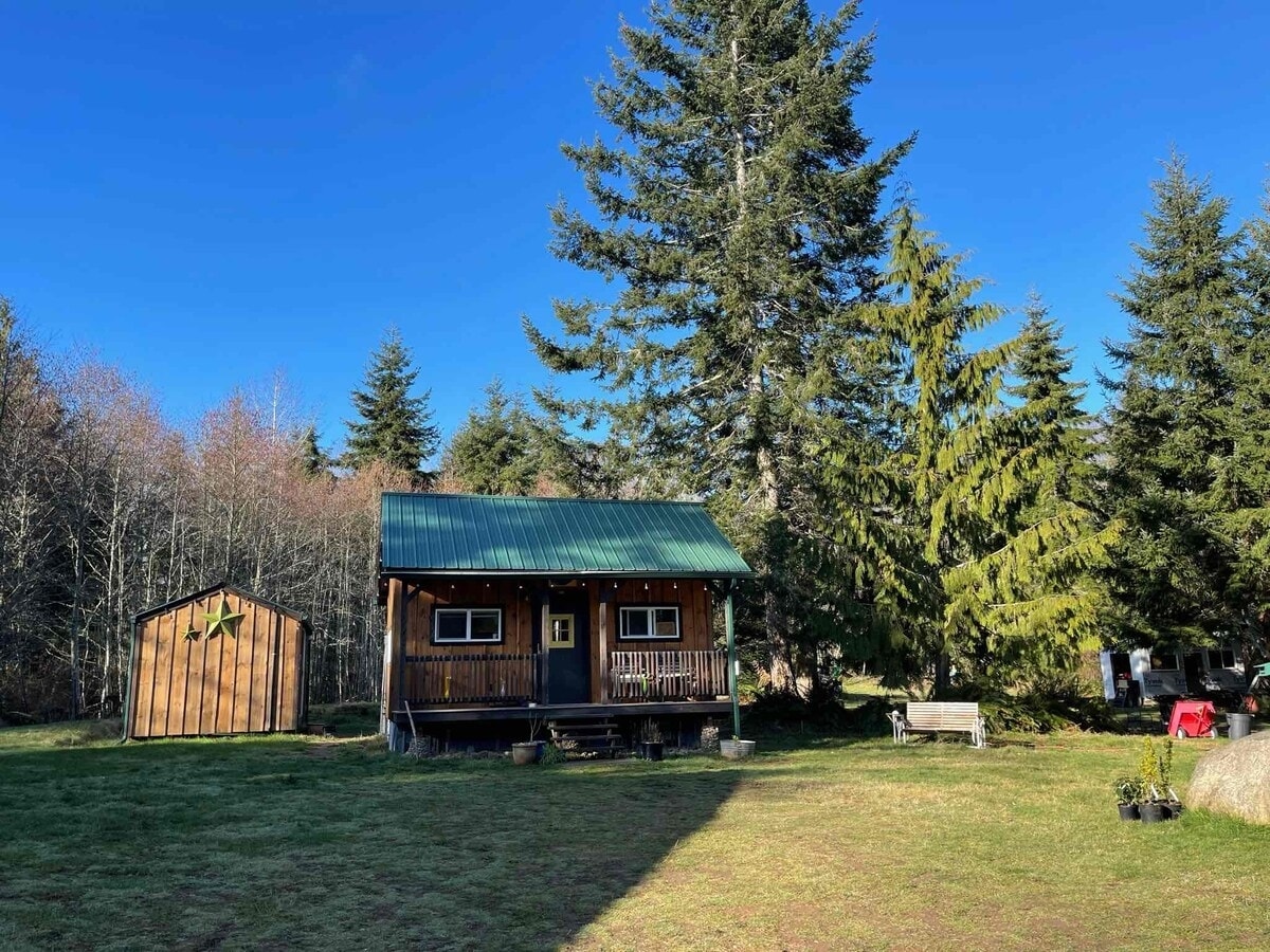 A cozy cabin with a green metal roof is set amidst tall evergreen trees. A porch extends in front, featuring two windows that overlook the outdoors. Adjacent, a shed with a star accent complements the rustic charm of the landscape, which is characterized by grassy areas and natural surroundings.