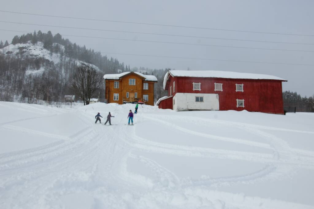 Fine ake- og skibakkar rundt tunet