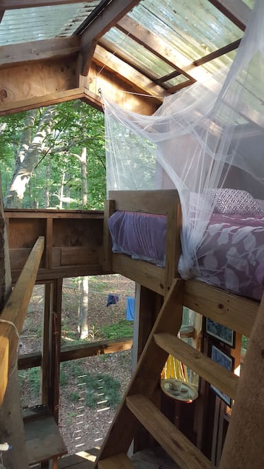 Mosquito Net over Queen Bed