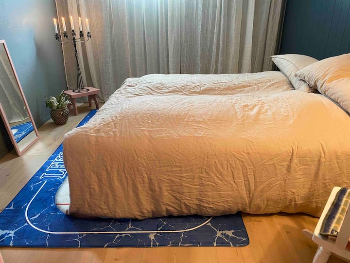 带双人床的卧室。 