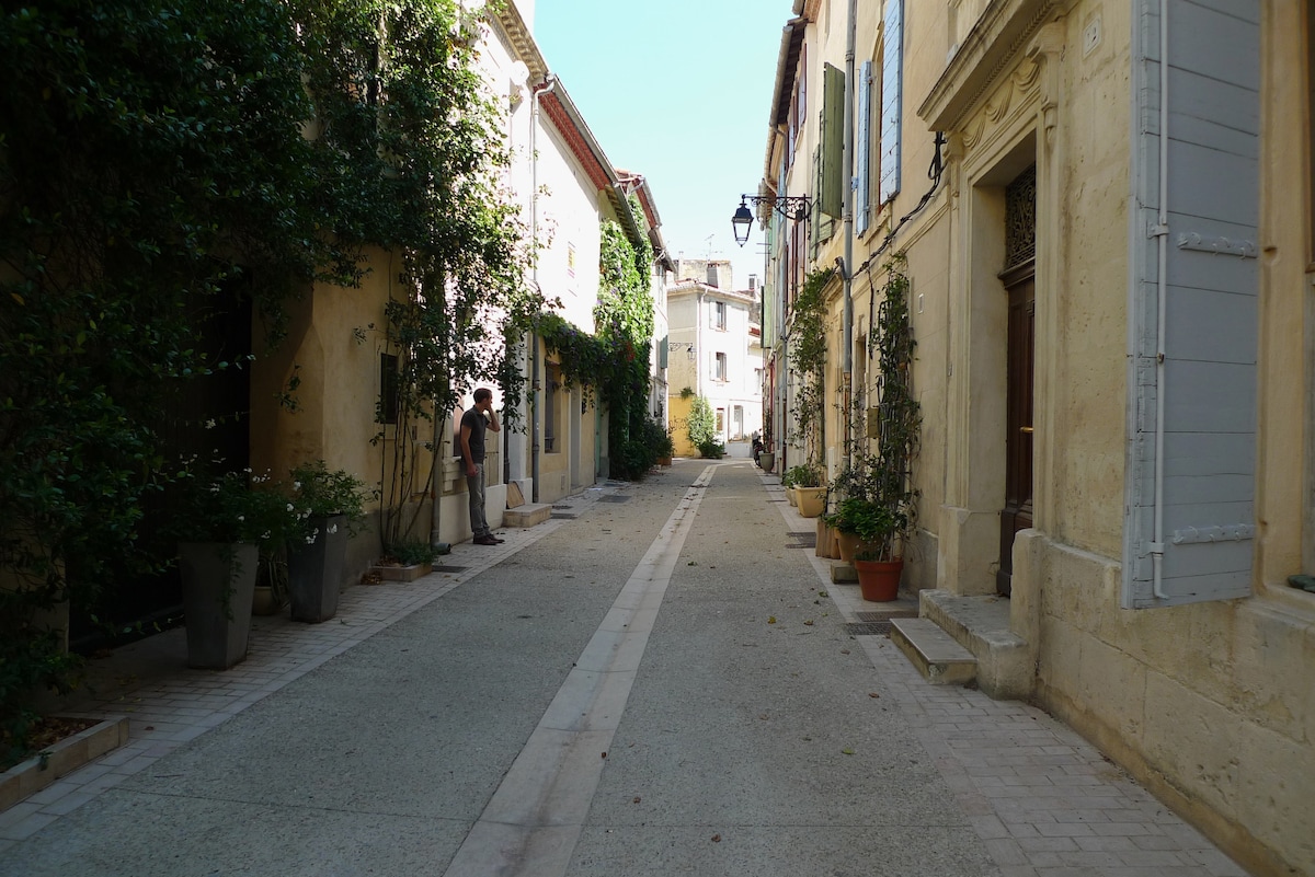 A quiet pedestrian street is lined with charming buildings featuring light-colored façades and shutters. Potted plants are placed alongside the pathway, enhancing the serene atmosphere. Soft sunlight illuminates the cobblestone surface, indicating a pleasant day in a historic neighborhood.