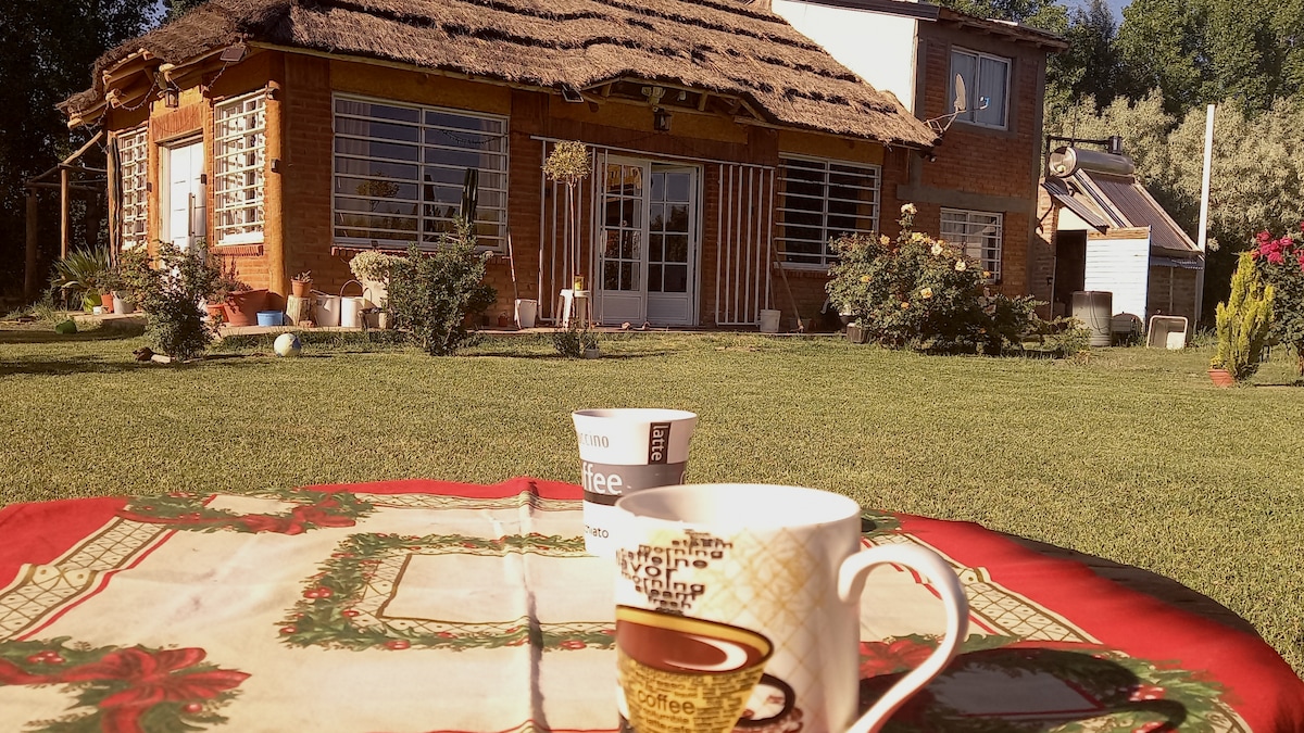 A spacious outdoor setting features a table with coffee cups placed on a vibrant tablecloth. In the background, a charming cabin with a thatched roof and large windows is surrounded by a green lawn and flowering shrubs.