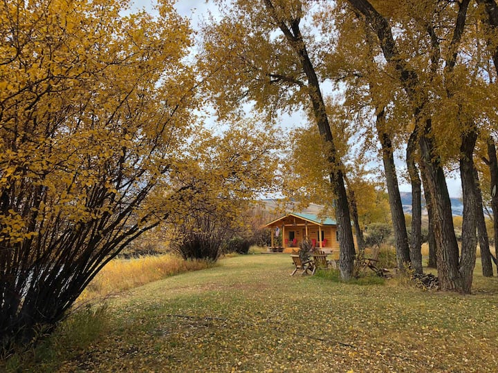 Top 12 Cabin Rentals In Wyoming, USA Updated 2024 Trip101