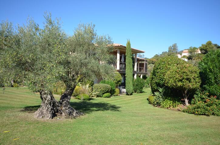 Download 3 condos chambre en bord de mer de la plage de myrte For Free