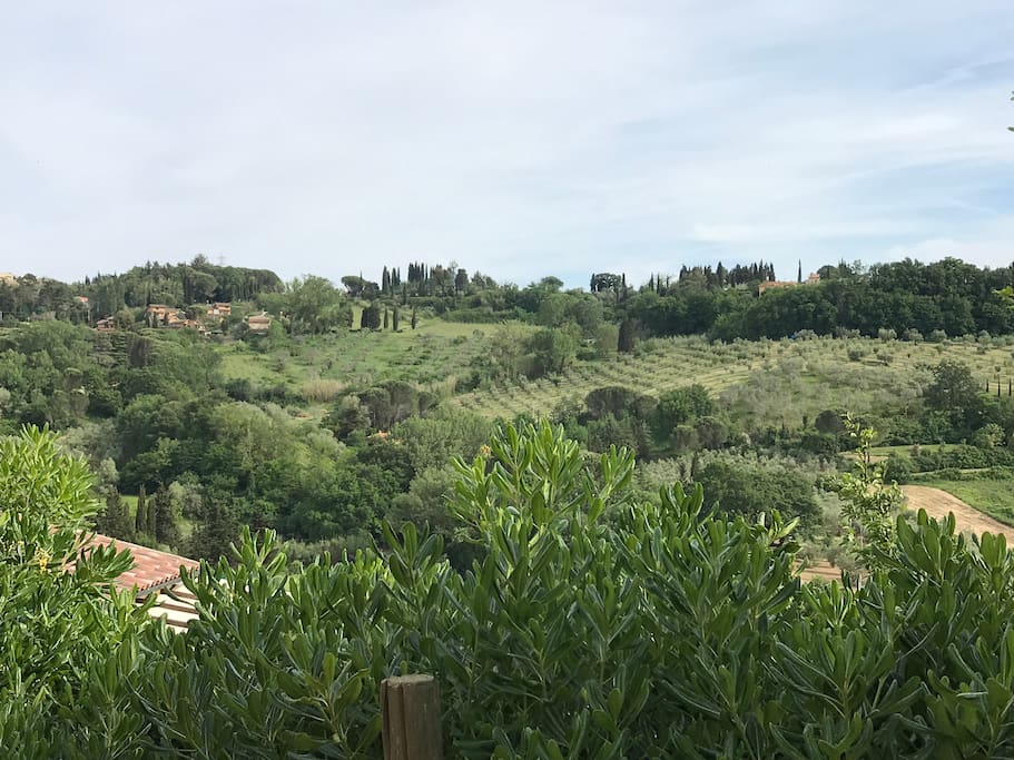Vista dal Giardino