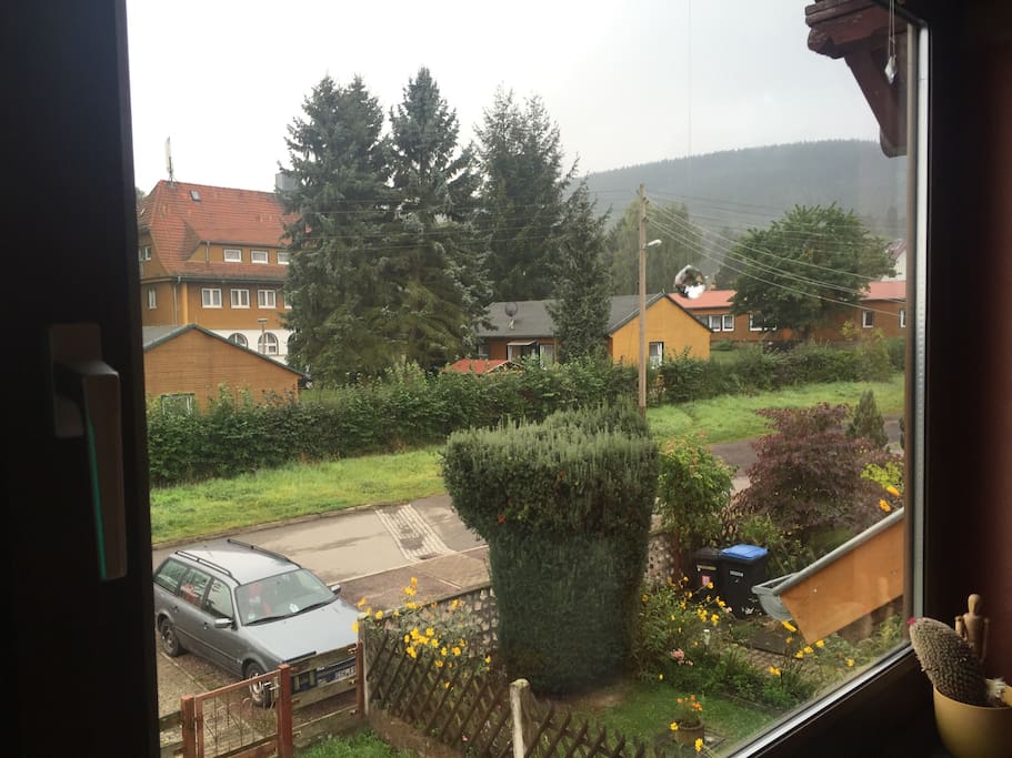 Blick aus dem Wohnzimmerfenster, mit schönen Holzjalusien