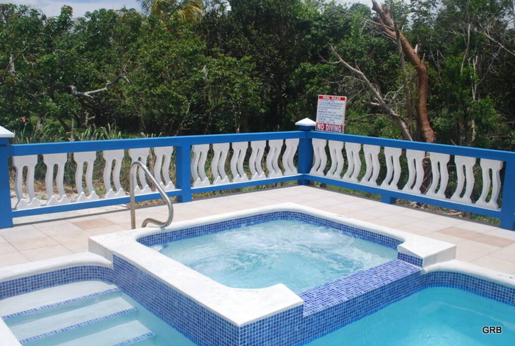 Jacuzzi/Hot tub