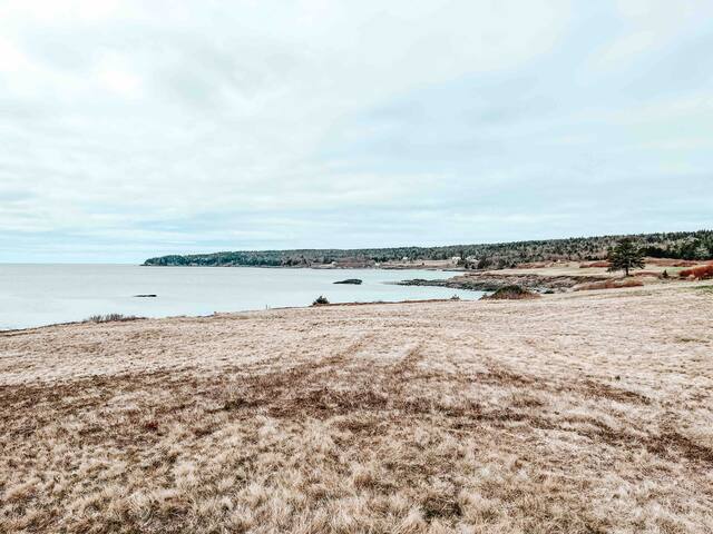 Oceanside Grand Manansion gallery image 3