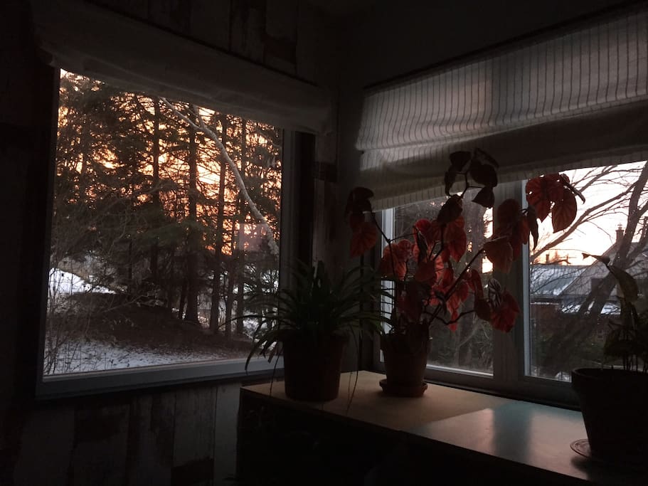 Chambre le matin