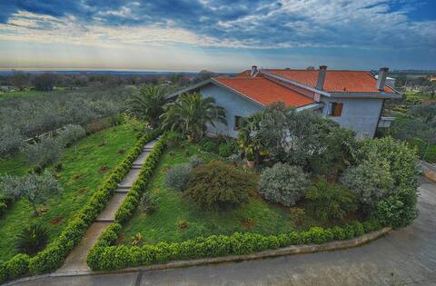 Villa delle Camellie